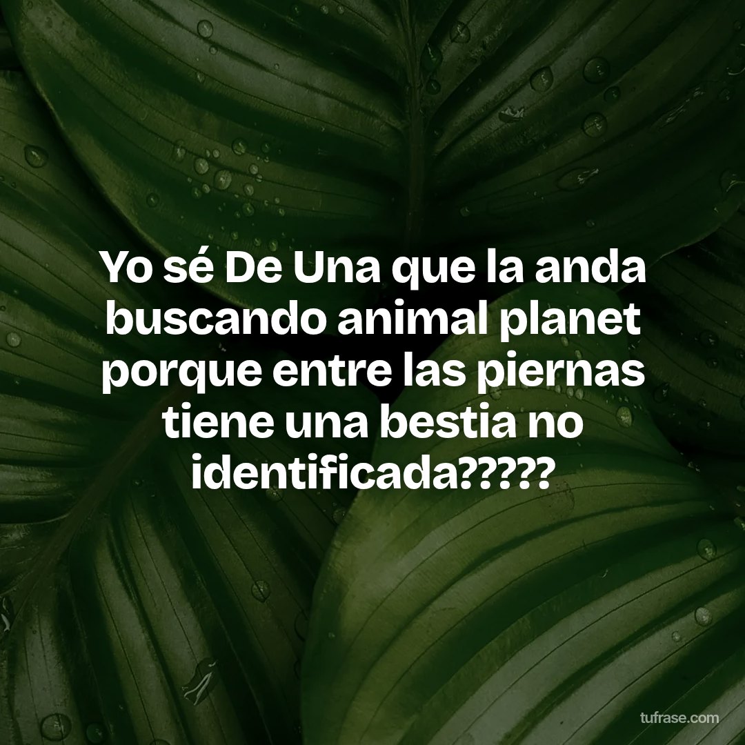 Yo sé De Una que la anda buscando animal planet porque entre las piernas tiene una bestia no identificada?????