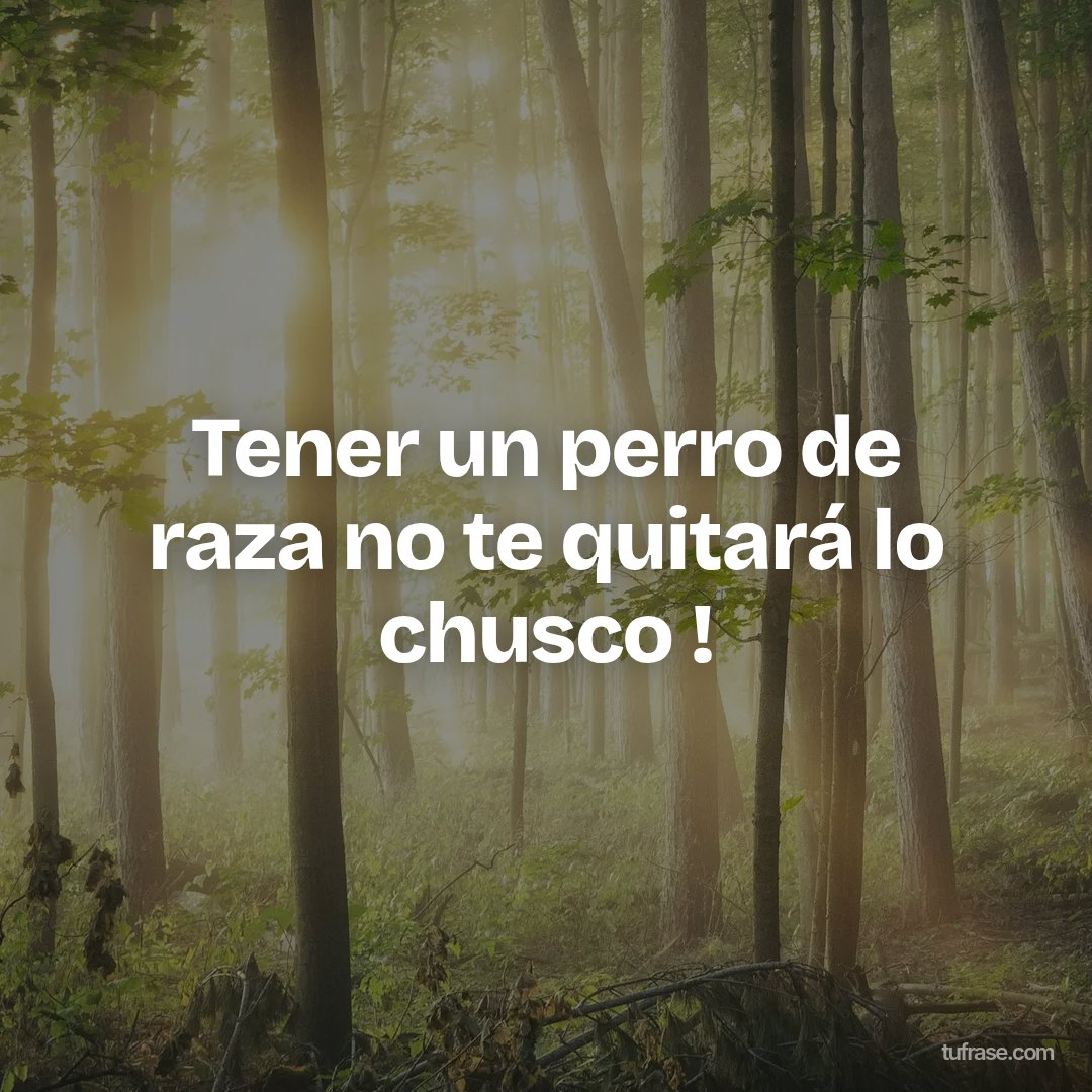 Tener un perro de raza no te quitará lo chusco !