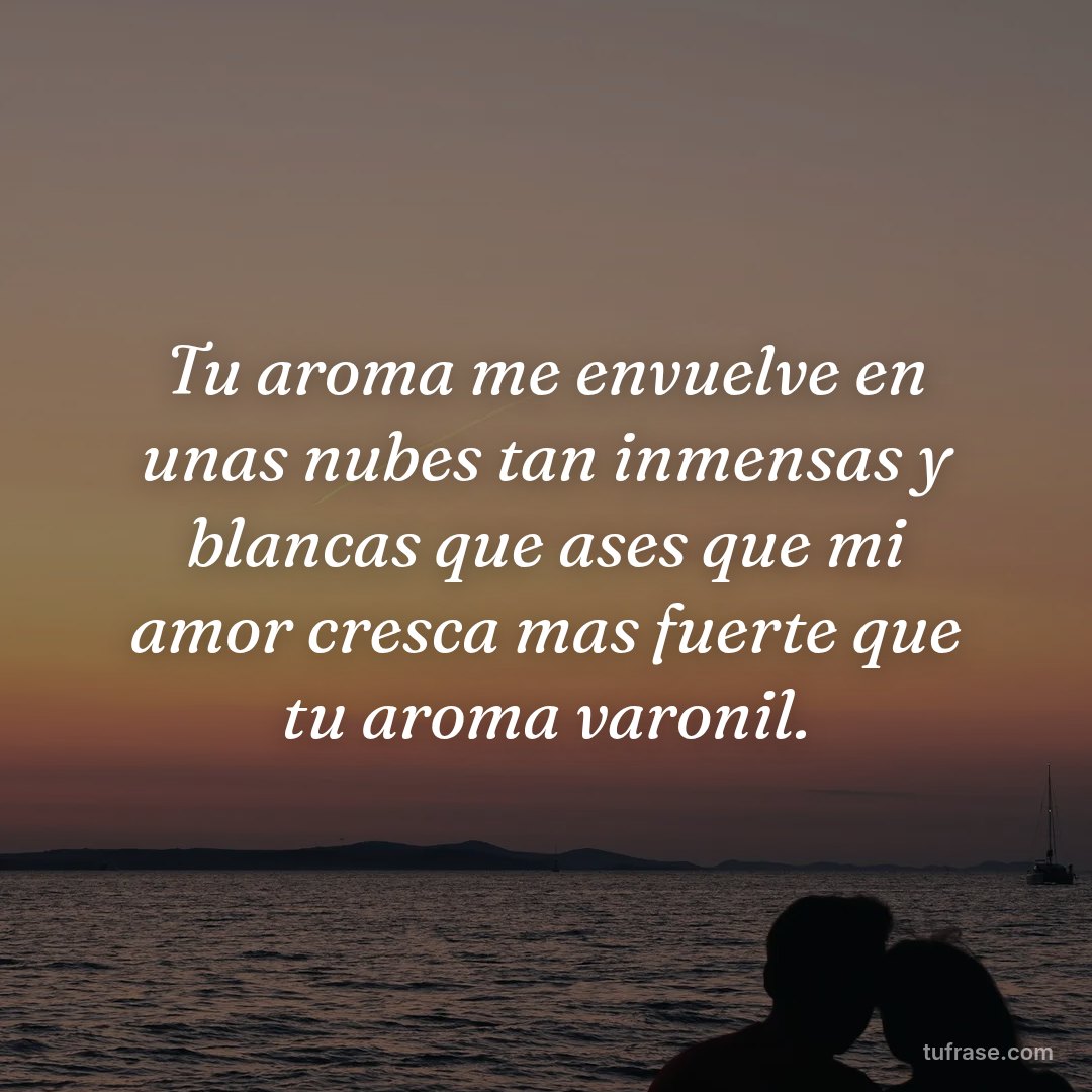 Tu aroma me envuelve en unas nubes tan inmensas y blancas que ases que mi amor cresca mas fuerte que tu aroma varonil.