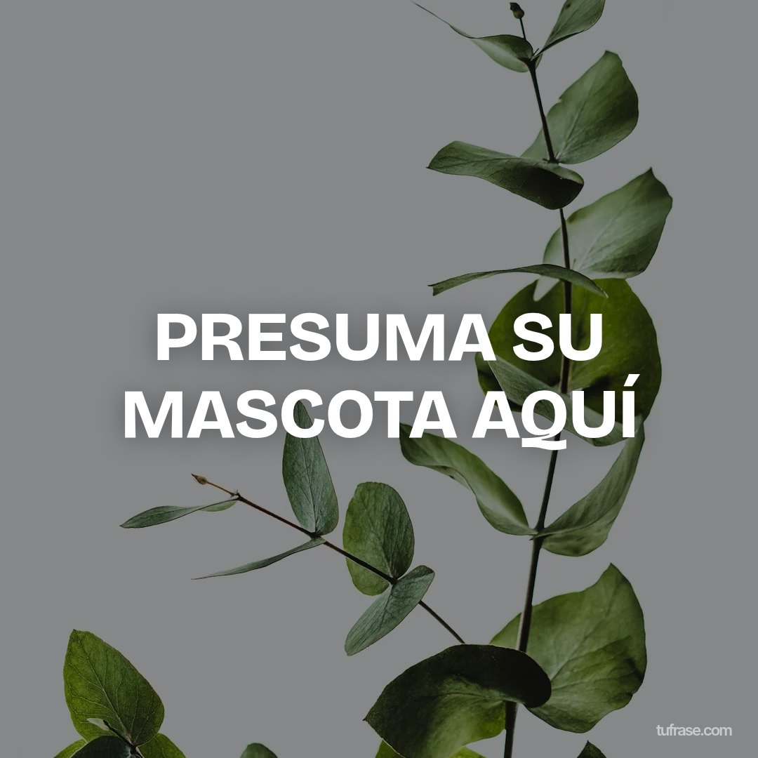 PRESUMA SU MASCOTA AQUÍ