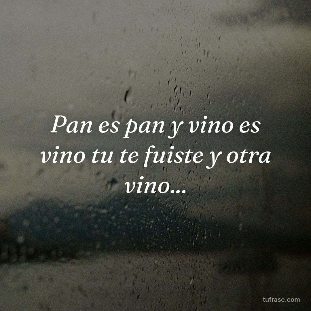 Pan es pan y vino es vino tu te fuiste y otra vino...