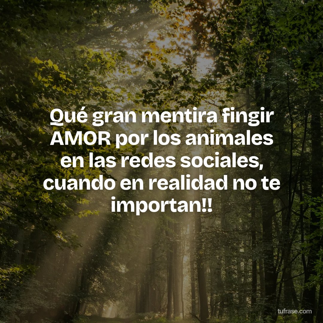 Qué gran mentira fingir AMOR por los animales en las redes sociales, cuando en realidad no te importan!!