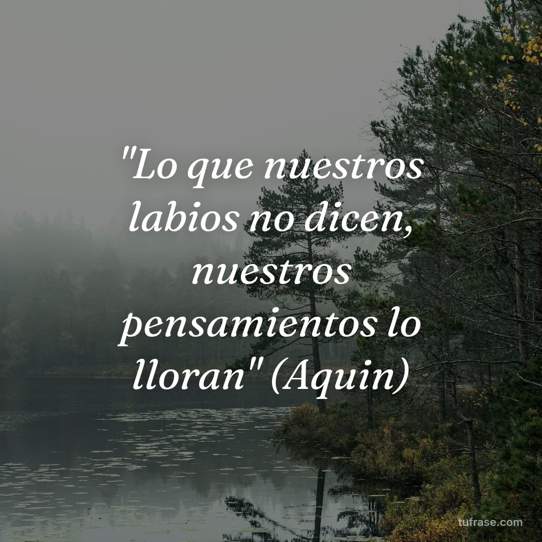 "Lo que nuestros labios no dicen, nuestros pensamientos lo lloran" (Aquin)