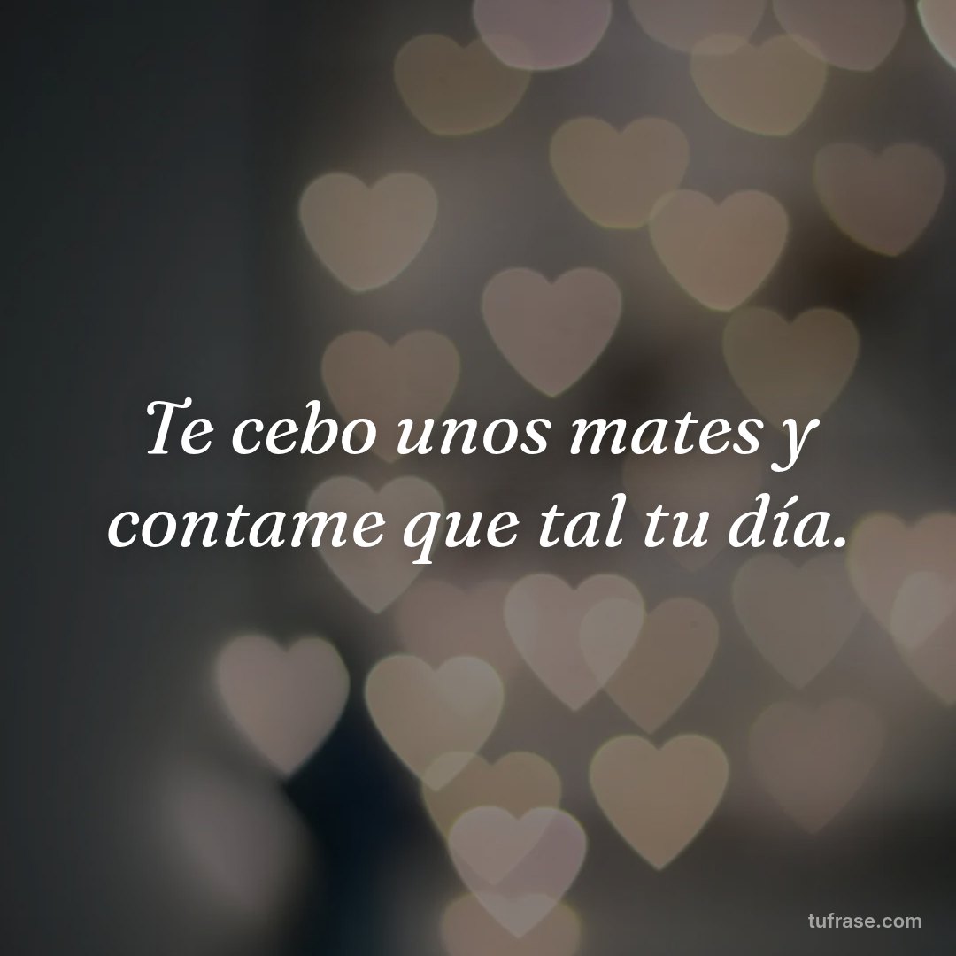 Te cebo unos mates y contame que tal tu día.
