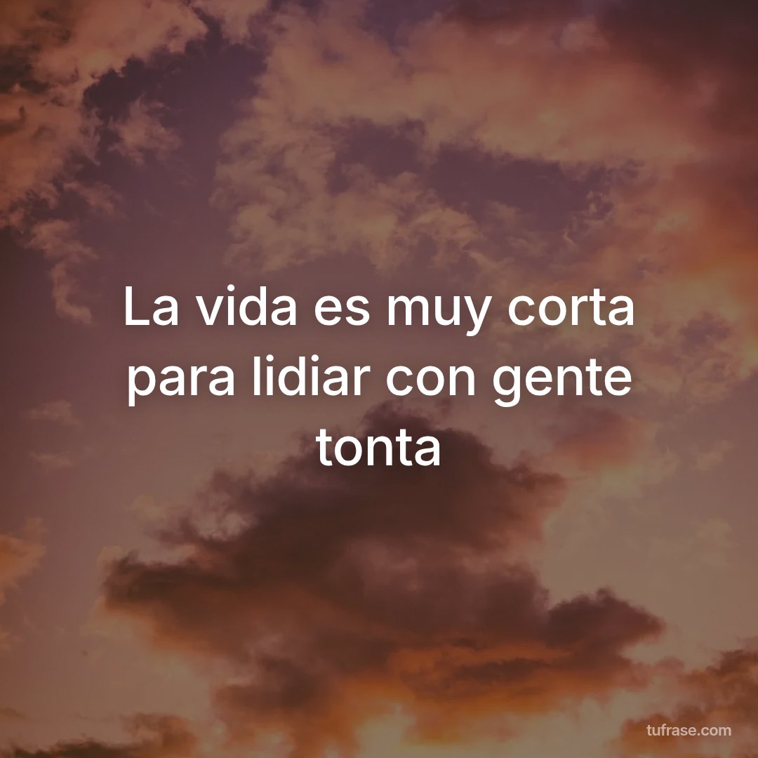 La vida es muy corta para lidiar con gente tonta