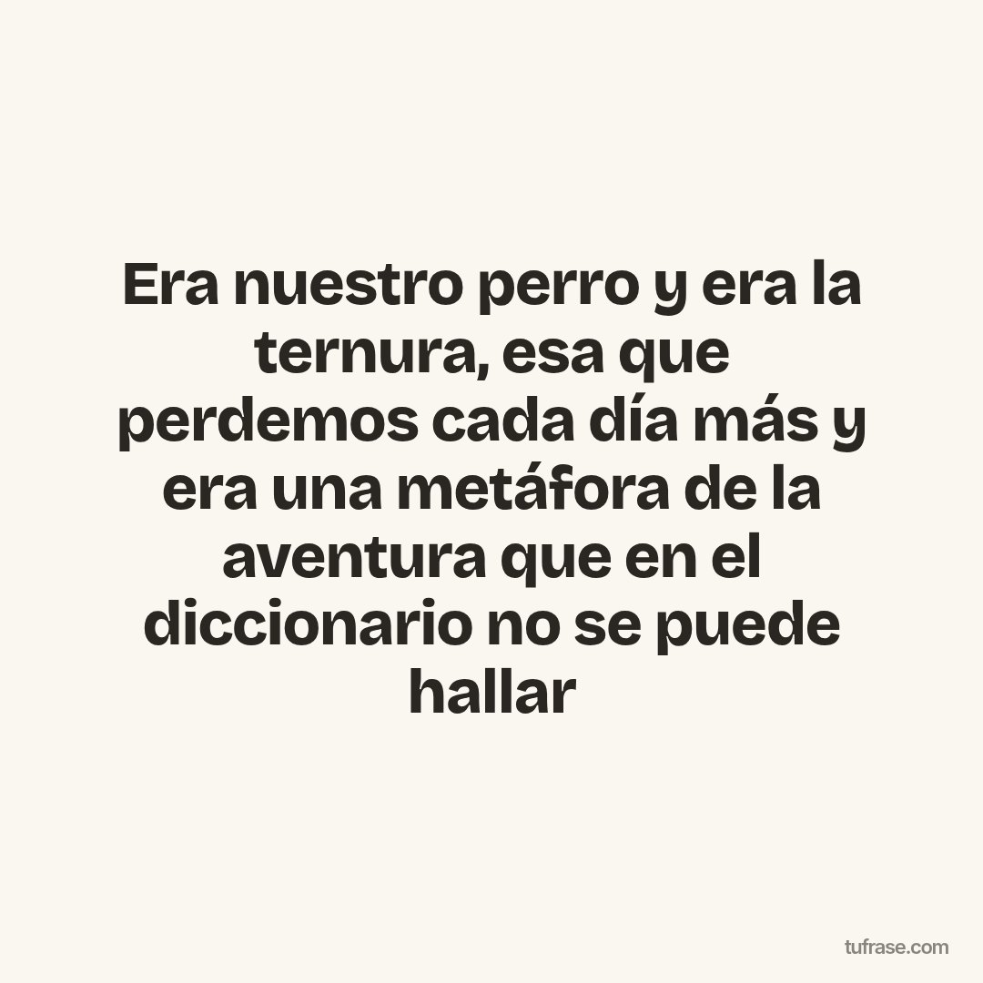 Era nuestro perro y era la ternura, esa que perdemos cada día más y era una metáfora de la aventura que en el diccionario no se puede hallar