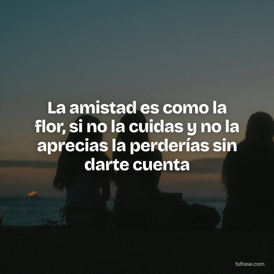 La amistad es como la flor, si no la cuidas y no la aprecias la perderías sin darte cuenta
