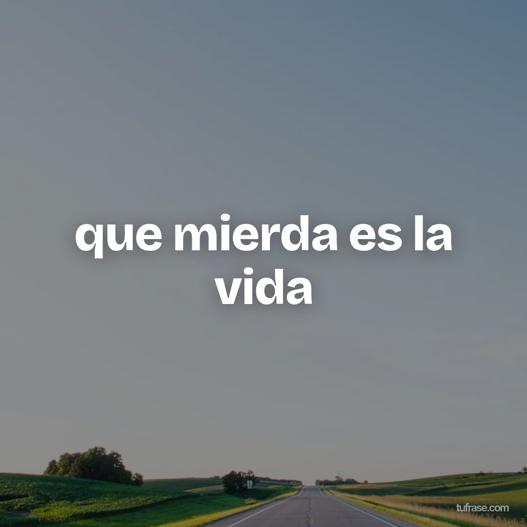 que mierda es la vida