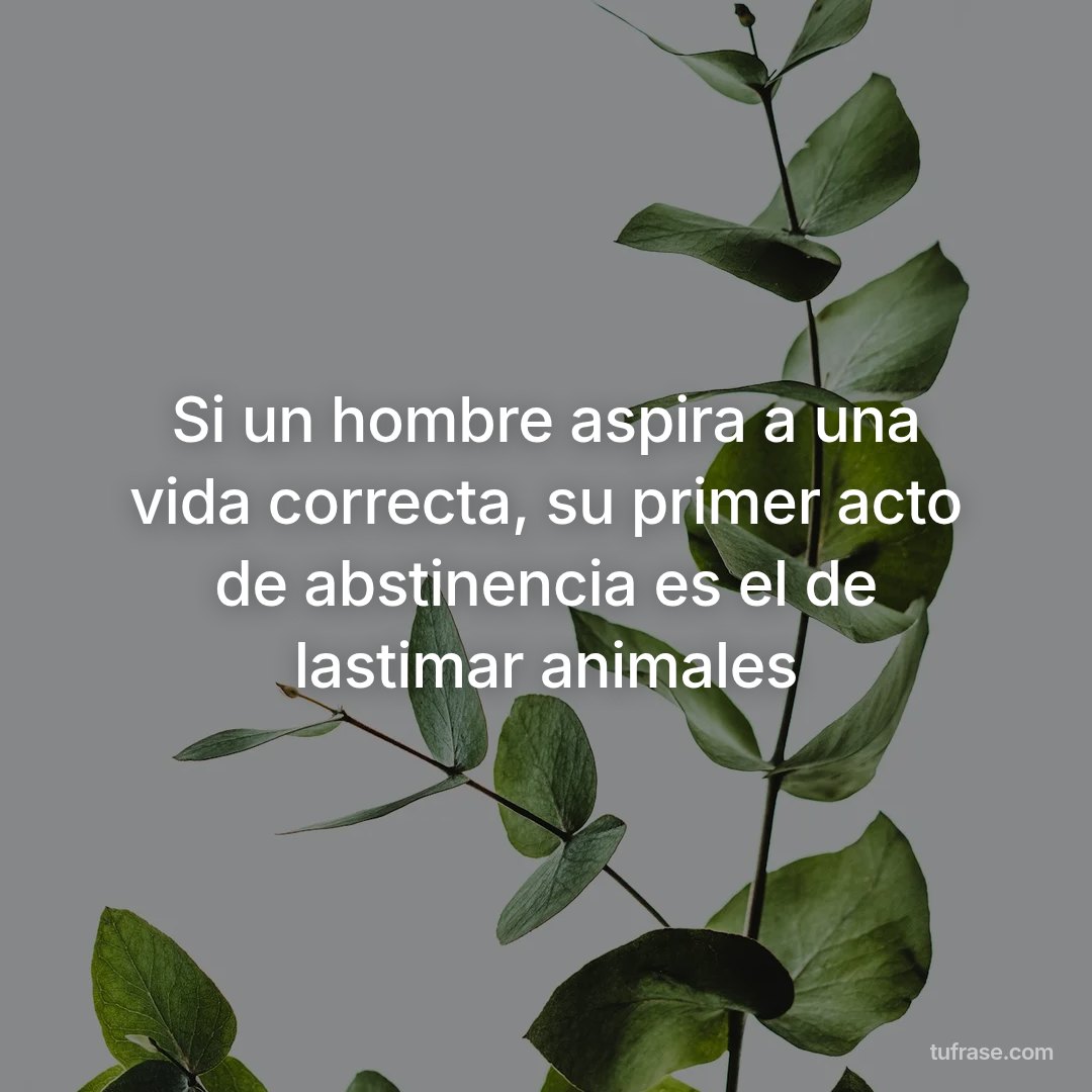 Si un hombre aspira a una vida correcta, su primer acto de abstinencia es el de lastimar animales