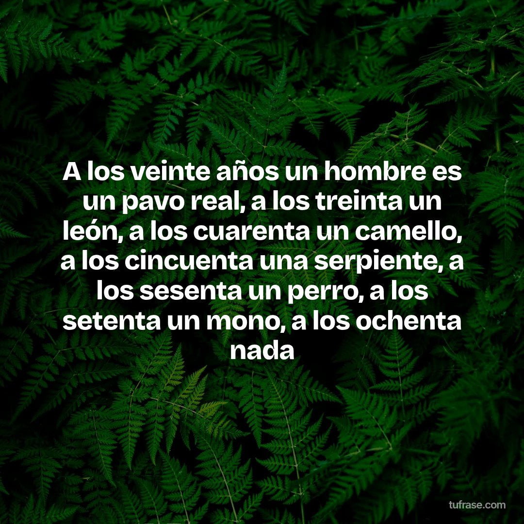 A los veinte años un hombre es un pavo real, a los treinta un león, a los cuarenta un camello, a los cincuenta una serpiente, a los sesenta un perro, a los setenta un mono, a los ochenta nada