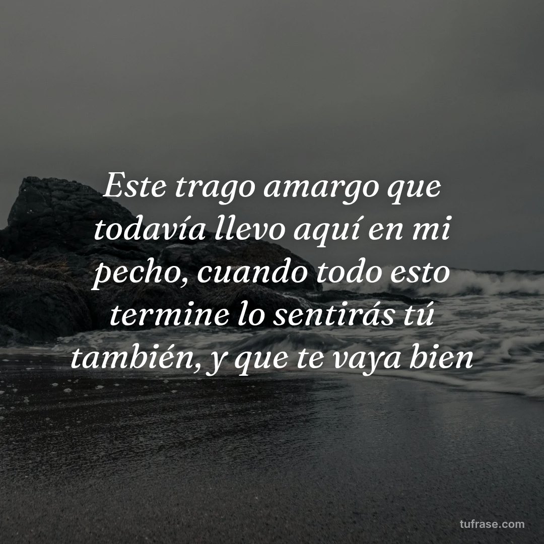 Este trago amargo que todavía llevo aquí en mi pecho, cuando todo esto termine lo sentirás tú también, y que te vaya bien