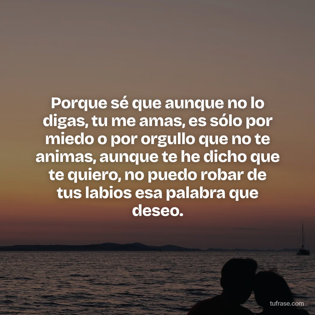 Porque sé que aunque no lo digas, tu me amas, es sólo por miedo o por orgullo que no te animas, aunque te he dicho que te quiero, no puedo robar de tus labios esa palabra que deseo.
