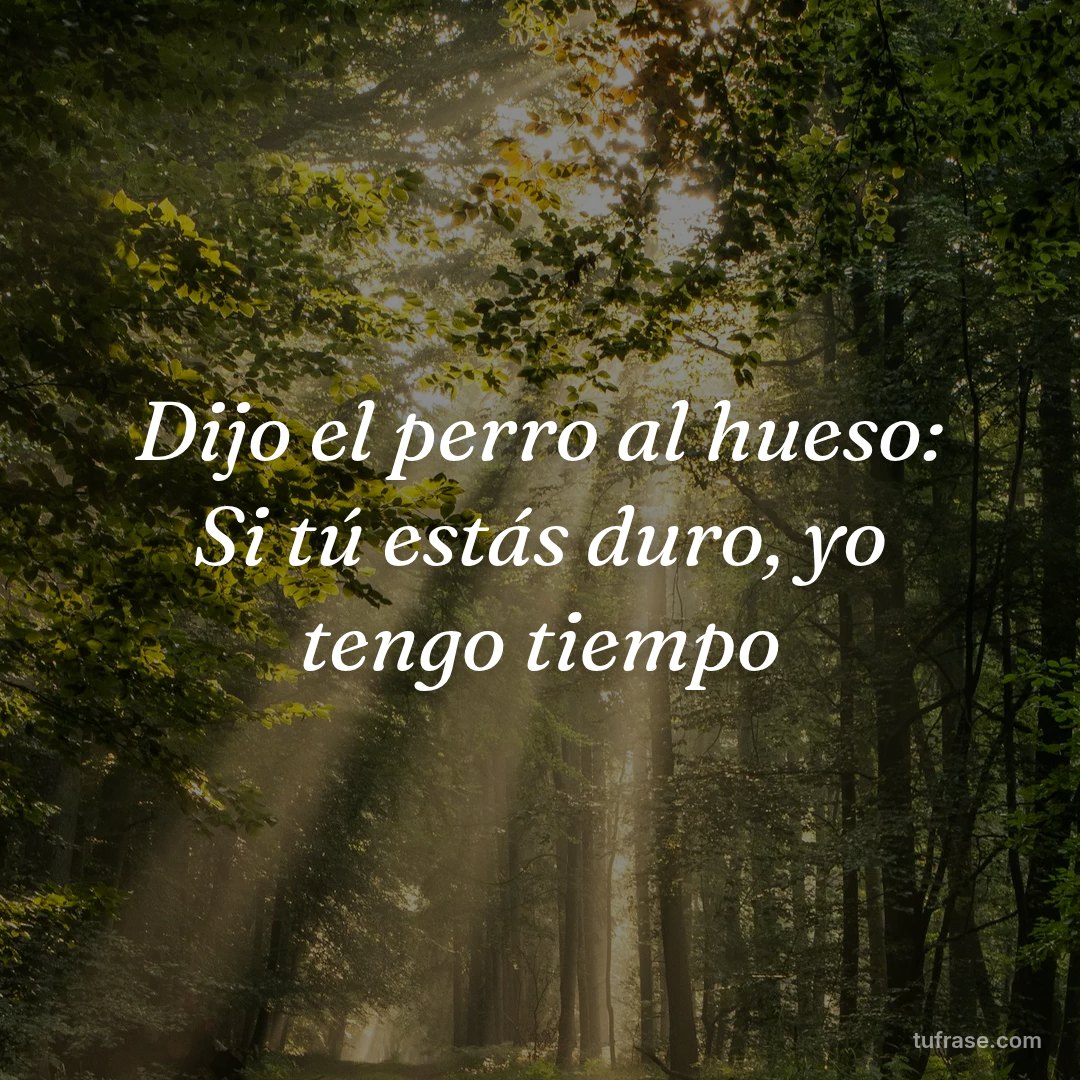 Dijo el perro al hueso: Si tú estás duro, yo tengo tiempo