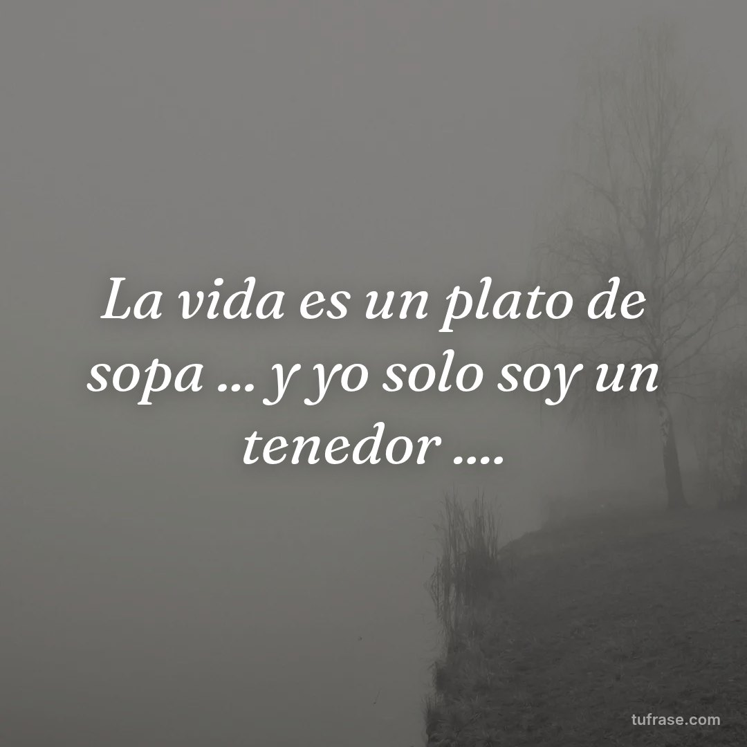 La vida es un plato de sopa ... y yo solo soy un tenedor ....