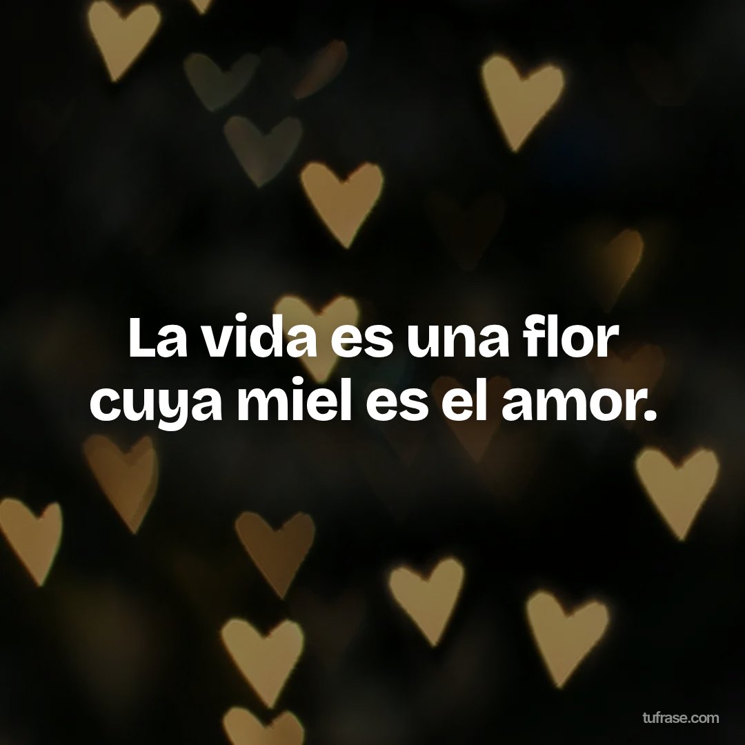 La vida es una flor cuya miel es el amor.