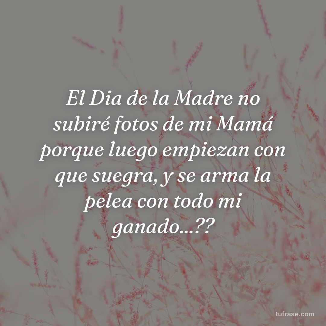 El Dia de la Madre no subiré fotos de mi Mamá porque luego empiezan con que suegra, y se arma la pelea con todo mi ganado...??