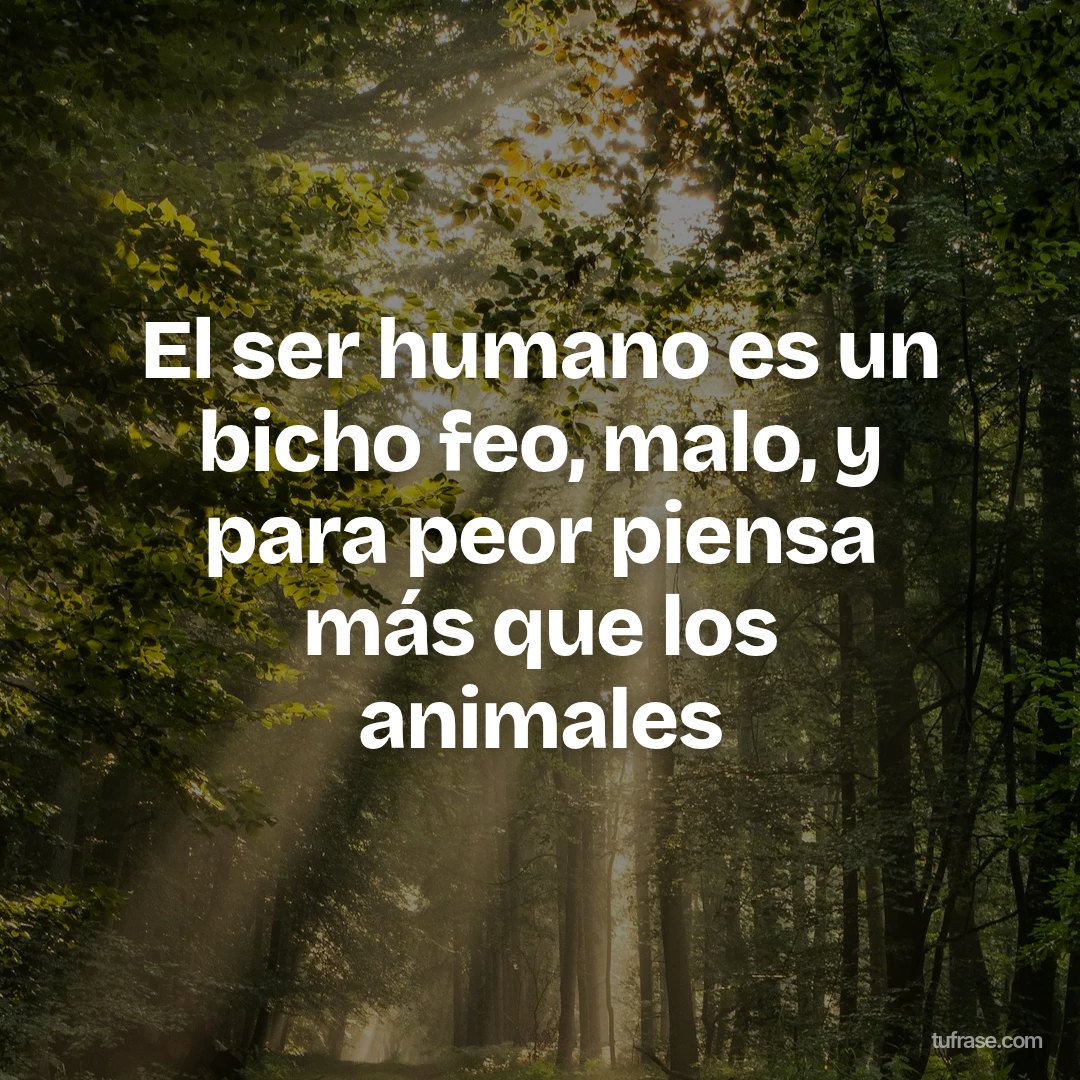 El ser humano es un bicho feo, malo, y para peor piensa más que los animales