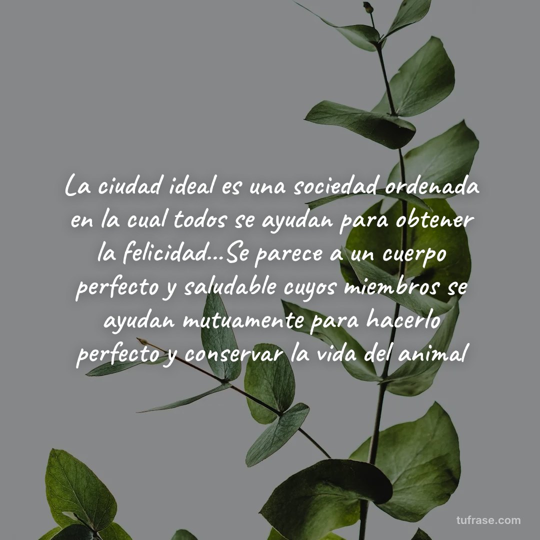 La ciudad ideal es una sociedad ordenada en la cual todos se ayudan para obtener la felicidad...Se parece a un cuerpo perfecto y saludable cuyos miembros se ayudan mutuamente para hacerlo perfecto y conservar la vida del animal