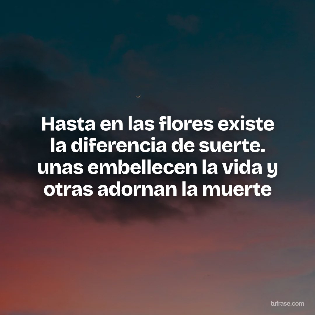 Hasta en las flores existe la diferencia de suerte. unas embellecen la vida y otras adornan la muerte