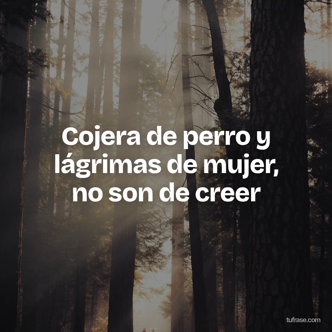 Cojera de perro y lágrimas de mujer, no son de creer