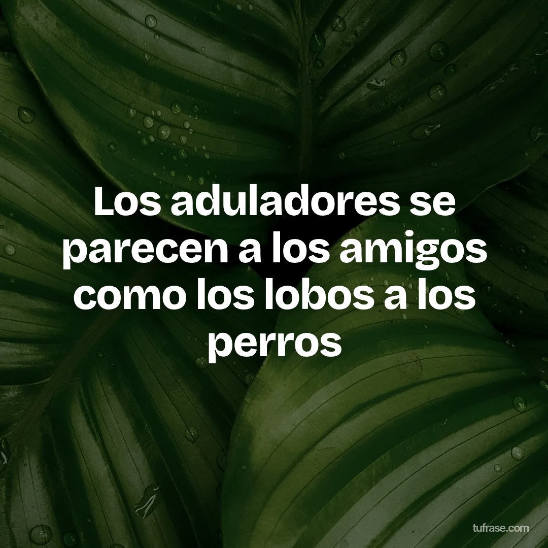Los aduladores se parecen a los amigos como los lobos a los perros