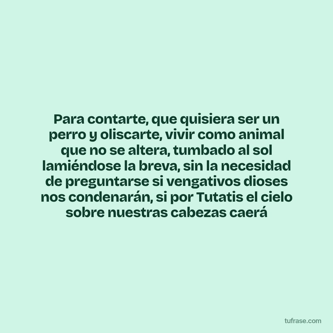 Para contarte, que quisiera ser un perro y oliscarte, vivir como animal que no se altera, tumbado al sol lamiéndose la breva, sin la necesidad de preguntarse si vengativos dioses nos condenarán, si por Tutatis el cielo sobre nuestras cabezas caerá