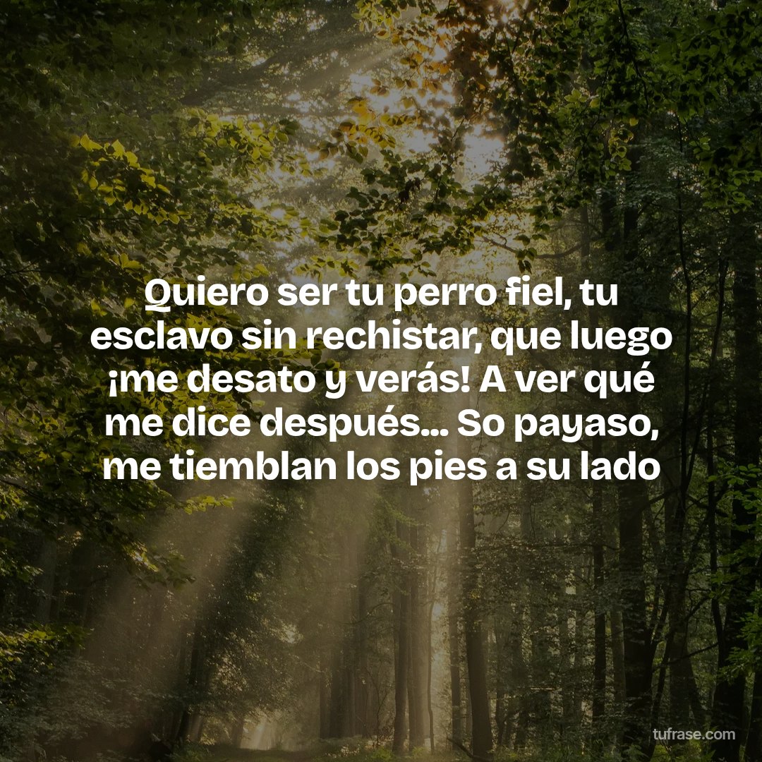 Quiero ser tu perro fiel, tu esclavo sin rechistar, que luego ¡me desato y verás! A ver qué me dice después... So payaso, me tiemblan los pies a su lado