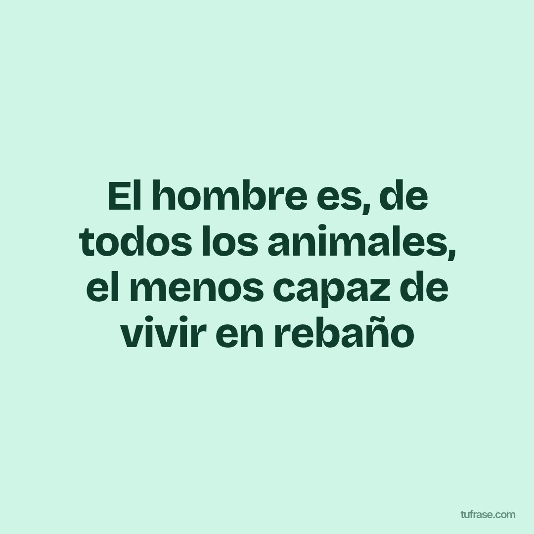 El hombre es, de todos los animales, el menos capaz de vivir en rebaño
