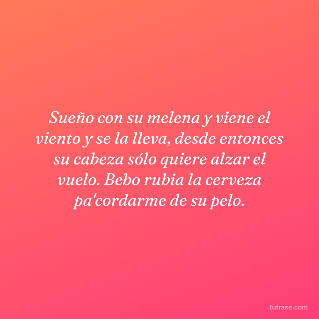 Sueño con su melena y viene el viento y se la lleva, desde entonces su cabeza sólo quiere alzar el vuelo. Bebo rubia la cerveza pa'cordarme de su pelo.