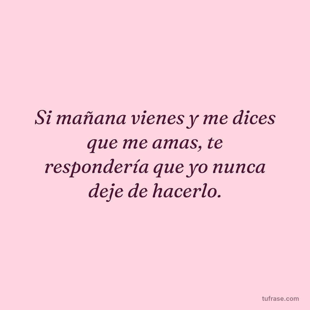 Si mañana vienes y me dices que me amas, te respondería que yo nunca deje de hacerlo.