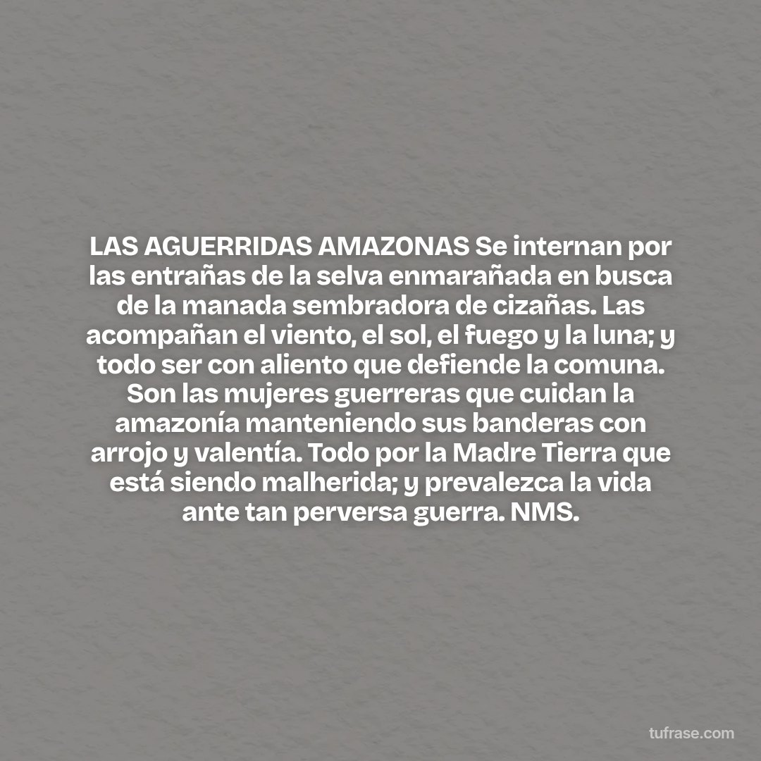 LAS AGUERRIDAS AMAZONAS Se internan por las entrañas de la selva enmarañada en busca de la manada sembradora de cizañas. Las acompañan el viento, el sol, el fuego y la luna; y todo ser con aliento que defiende la comuna. Son las mujeres guerreras que cuidan la amazonía manteniendo sus banderas con arrojo y valentía. Todo por la Madre Tierra que está siendo malherida; y prevalezca la vida ante tan perversa guerra. NMS.