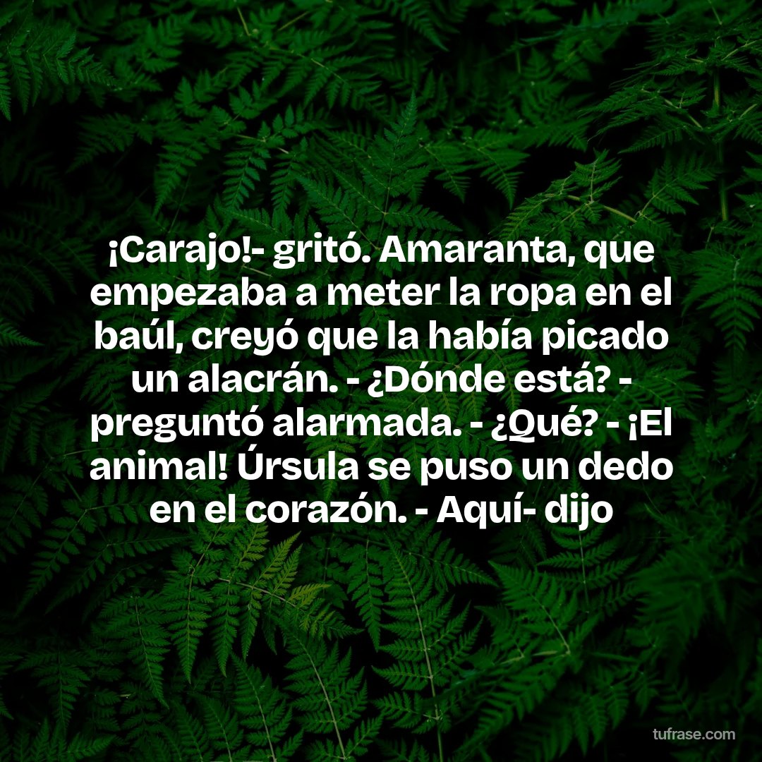 ¡Carajo!- gritó. Amaranta, que empezaba a meter la ropa en el baúl, creyó que la había picado un alacrán. - ¿Dónde está? - preguntó alarmada. - ¿Qué? - ¡El animal! Úrsula se puso un dedo en el corazón. - Aquí- dijo