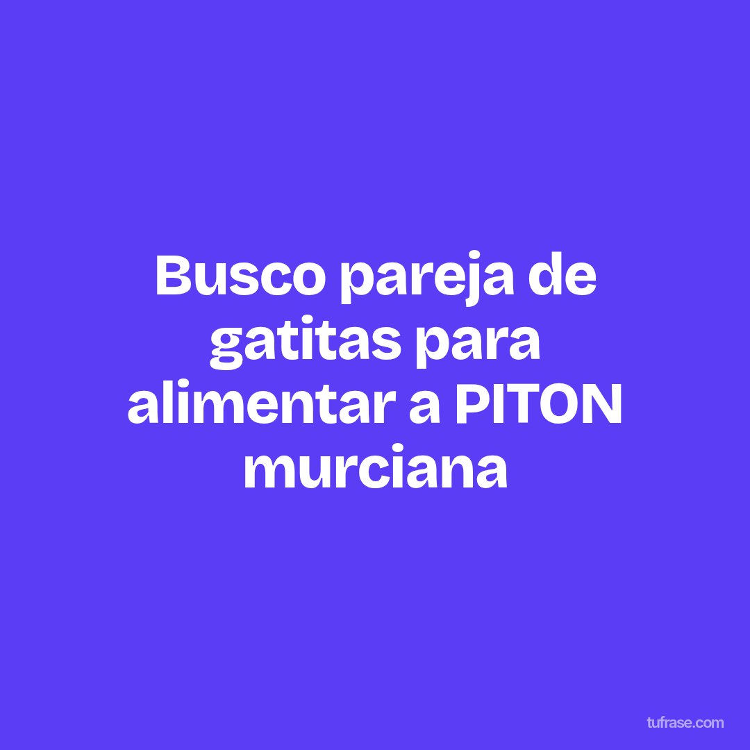 Busco pareja de gatitas para alimentar a PITON murciana