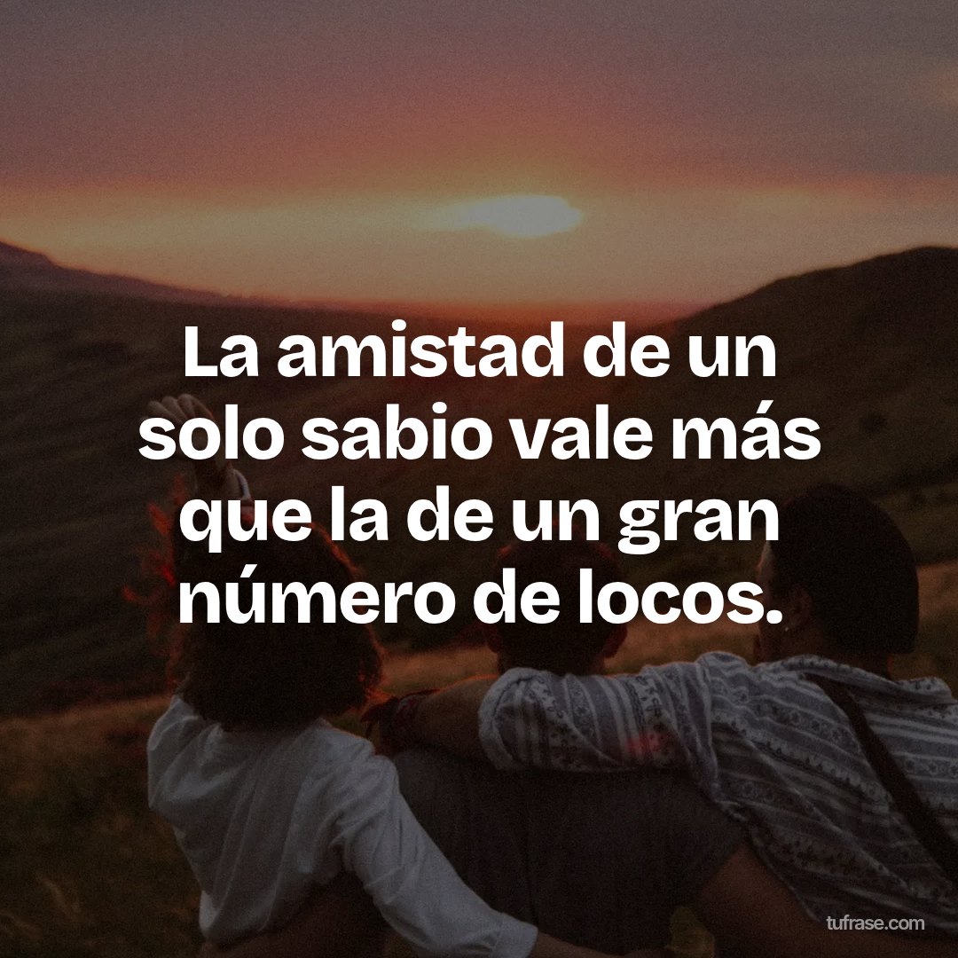 La amistad de un solo sabio vale más que la de un gran número de locos.