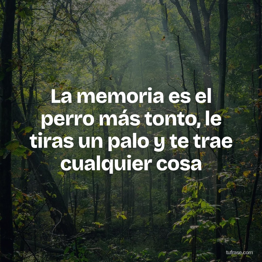 La memoria es el perro más tonto, le tiras un palo y te trae cualquier cosa