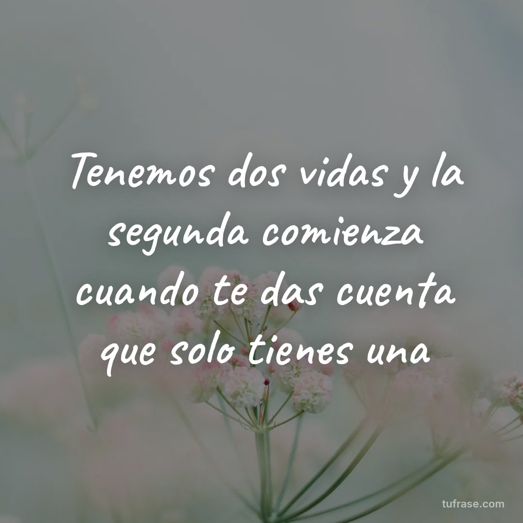 Tenemos dos vidas y la segunda comienza cuando te das cuenta que solo tienes una