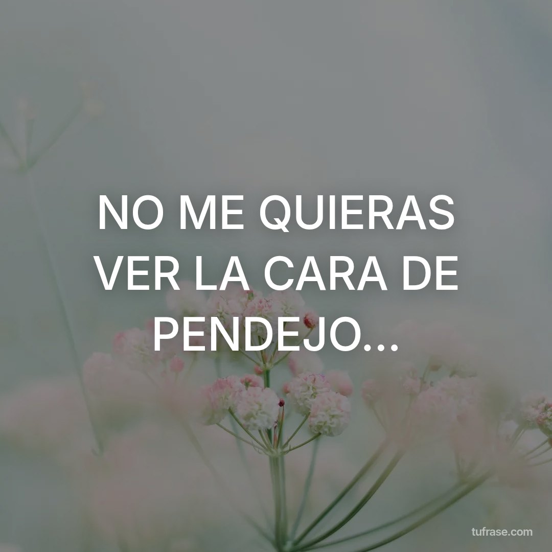 NO ME QUIERAS VER LA CARA DE PENDEJO...