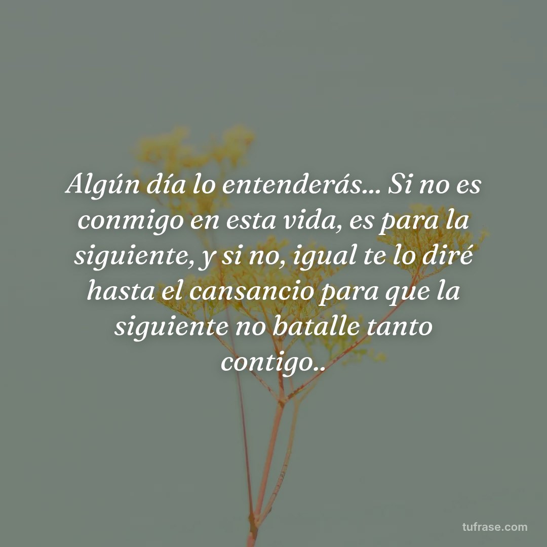 Algún día lo entenderás... Si no es conmigo en esta vida, es para la siguiente, y si no, igual te lo diré hasta el cansancio para que la siguiente no batalle tanto contigo..