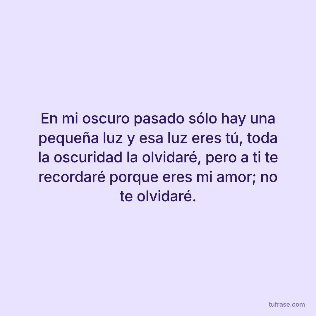 En mi oscuro pasado sólo hay una pequeña luz y esa luz eres tú, toda la oscuridad la olvidaré, pero a ti te recordaré porque eres mi amor; no te olvidaré.