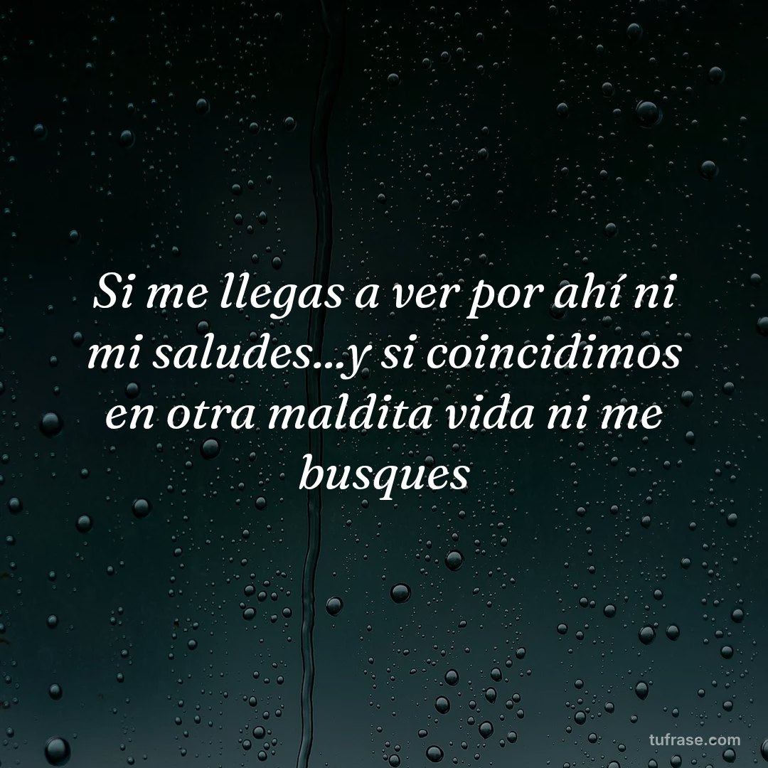 Si me llegas a ver por ahí ni mi saludes...y si coincidimos en otra maldita vida ni me busques