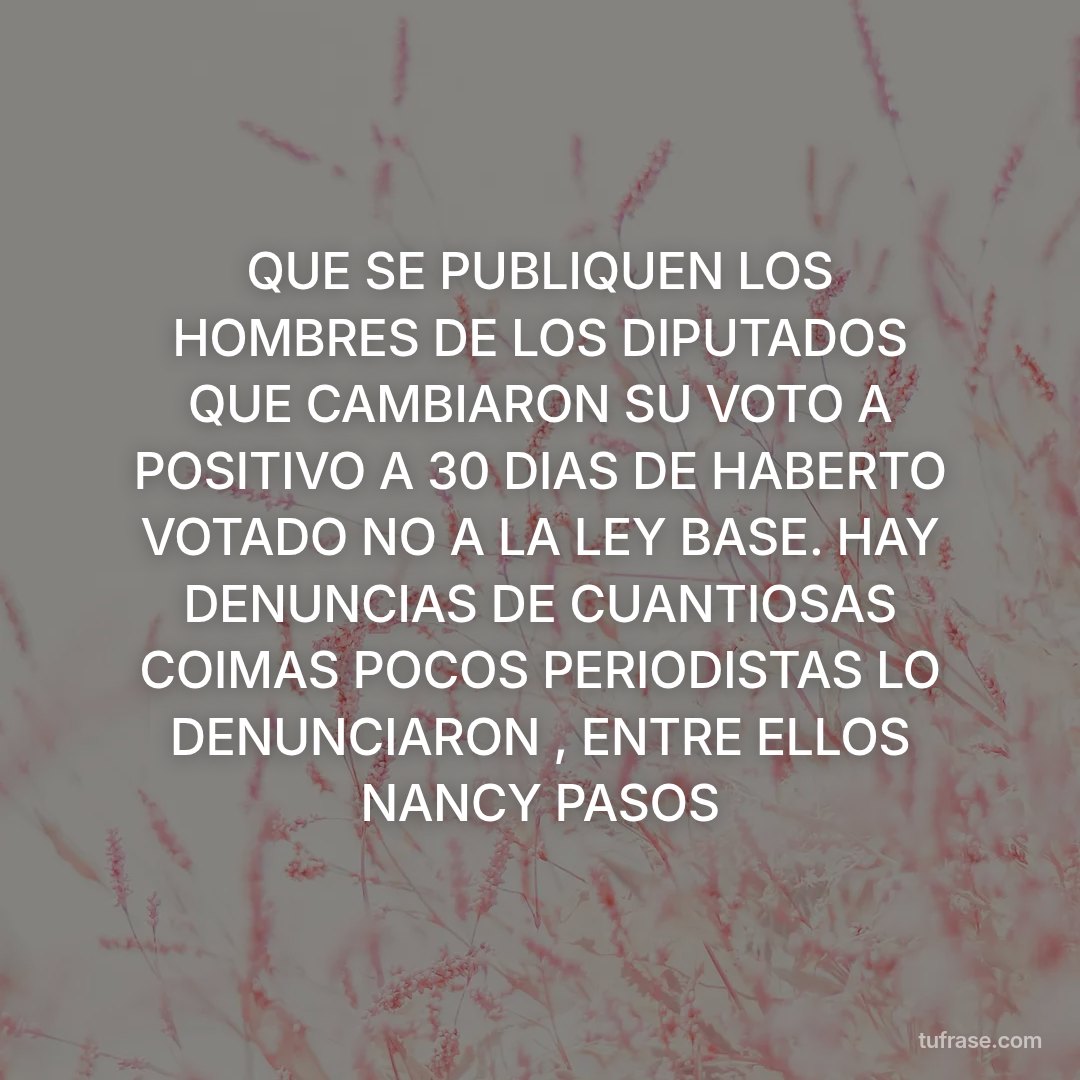 QUE SE PUBLIQUEN LOS HOMBRES DE LOS DIPUTADOS QUE CAMBIARON SU VOTO A POSITIVO A 30 DIAS DE HABERTO VOTADO NO A LA LEY BASE. HAY DENUNCIAS DE CUANTIOSAS COIMAS POCOS PERIODISTAS LO DENUNCIARON , ENTRE ELLOS NANCY PASOS