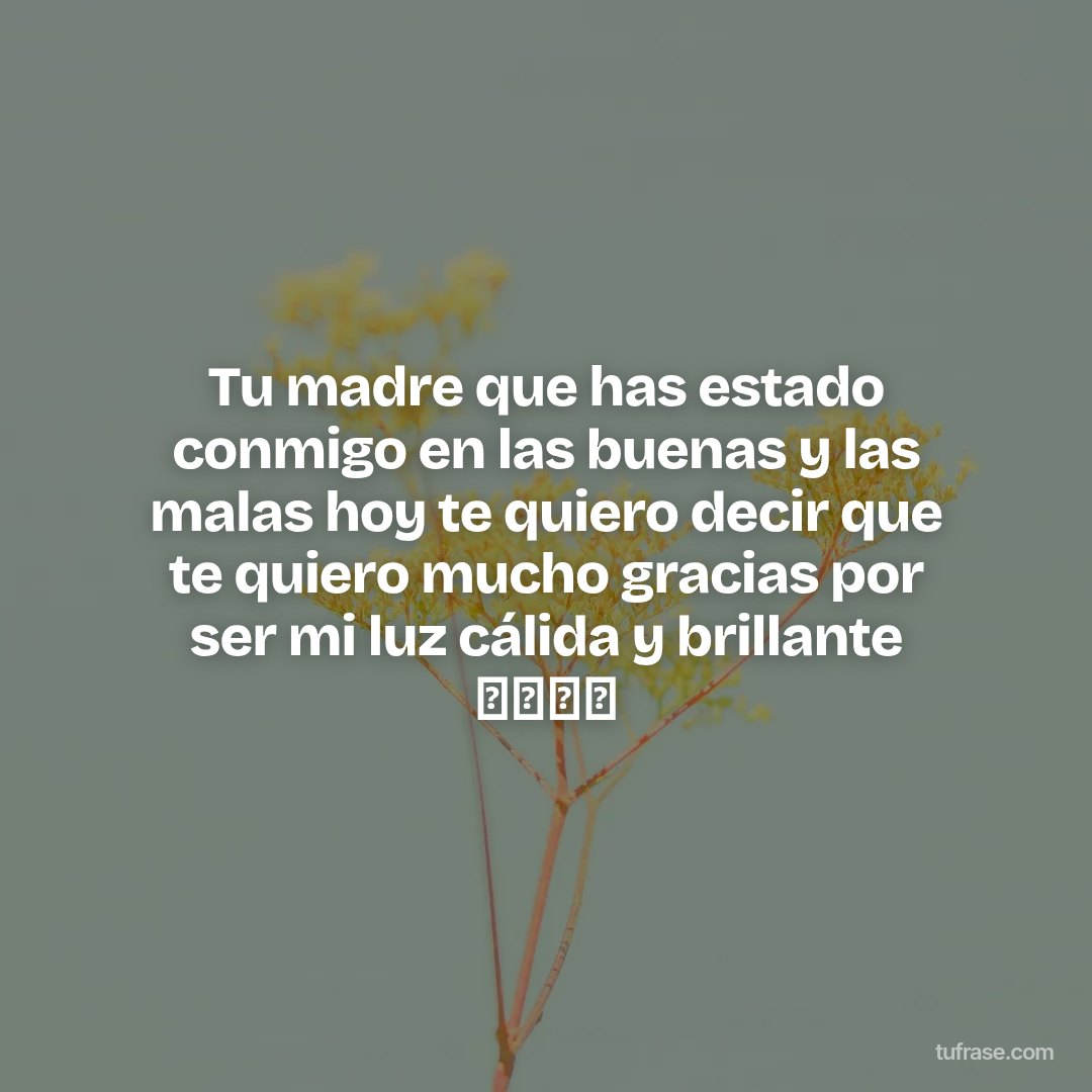 Tu madre que has estado conmigo en las buenas y las malas hoy te quiero decir que te quiero mucho gracias por ser mi luz cálida y brillante 💖💖🥰🥰