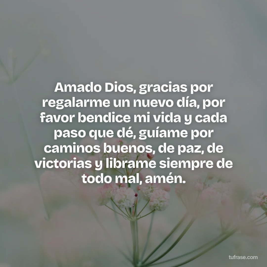 Amado Dios, gracias por regalarme un nuevo día, por favor bendice mi vida y cada paso que dé, guíame por caminos buenos, de paz, de victorias y librame siempre de todo mal, amén.