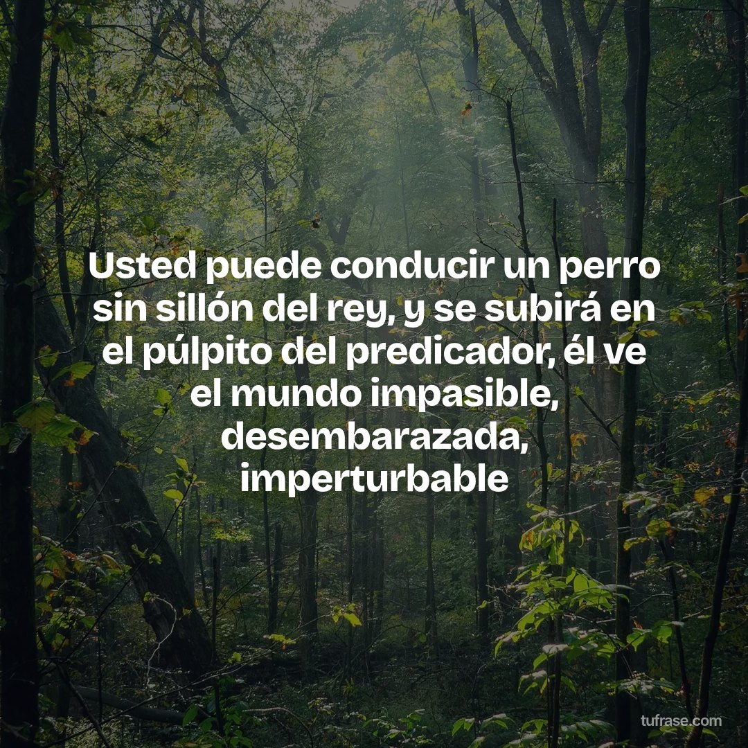 Usted puede conducir un perro sin sillón del rey, y se subirá en el púlpito del predicador, él ve el mundo impasible, desembarazada, imperturbable
