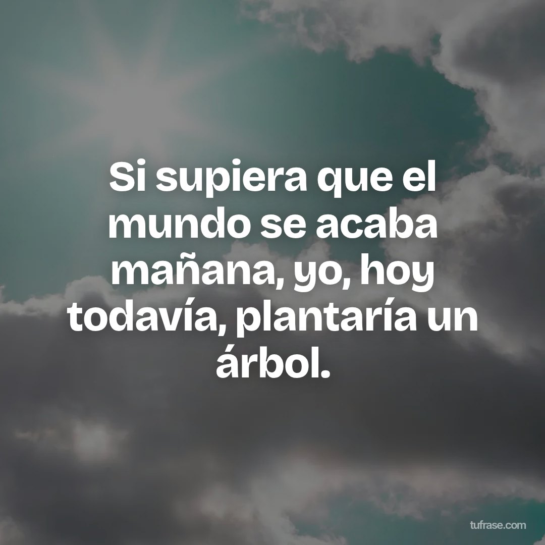 Si supiera que el mundo se acaba mañana, yo, hoy todavía, plantaría un árbol.