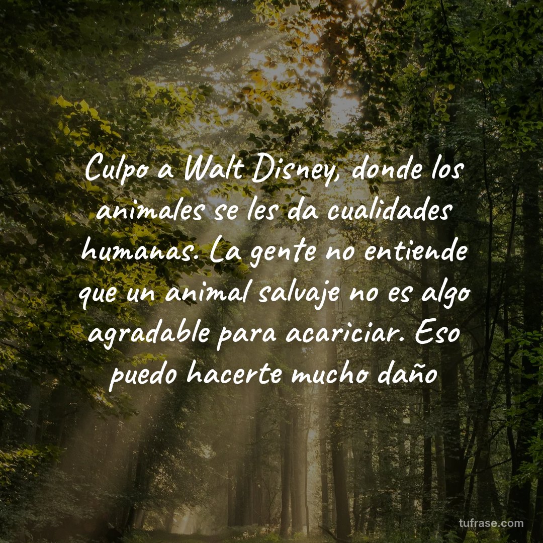 Culpo a Walt Disney, donde los animales se les da cualidades humanas. La gente no entiende que un animal salvaje no es algo agradable para acariciar. Eso puedo hacerte mucho daño