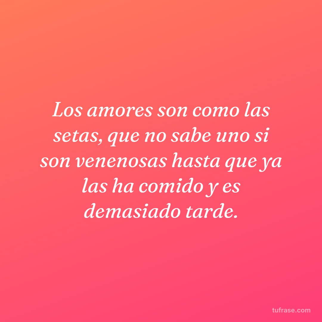 Los amores son como las setas, que no sabe uno si son venenosas hasta que ya las ha comido y es demasiado tarde.