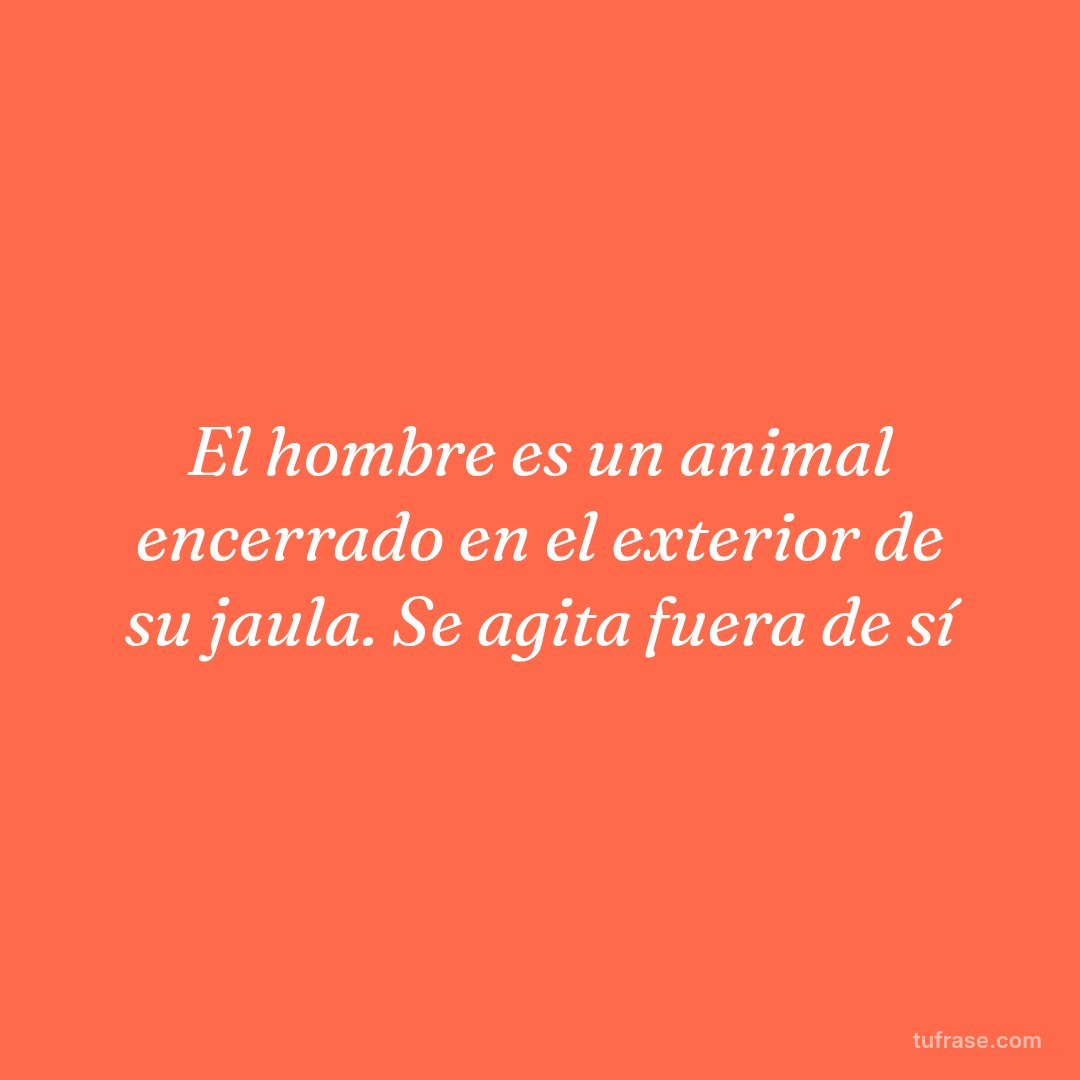 El hombre es un animal encerrado en el exterior de su jaula. Se agita fuera de sí