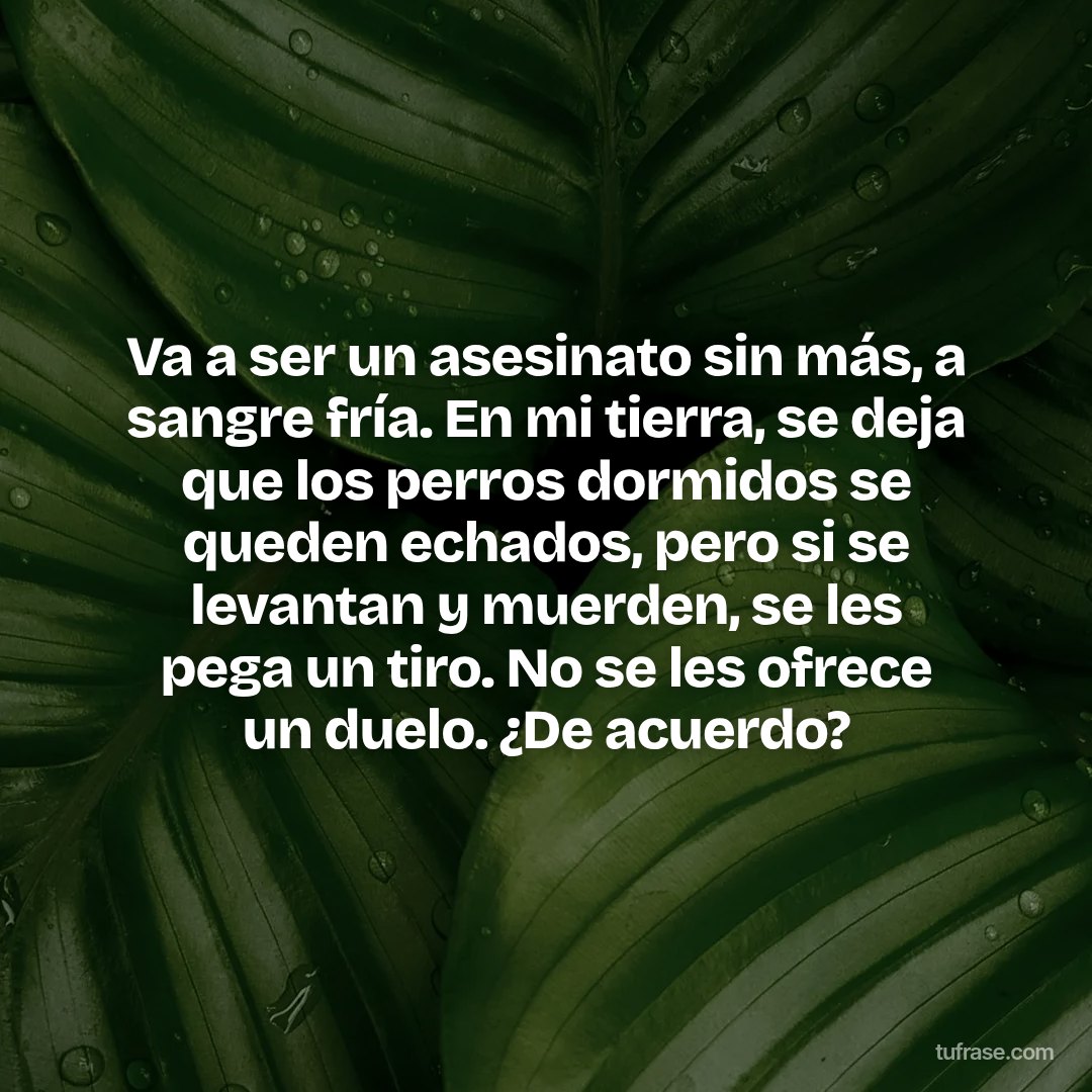 Va a ser un asesinato sin más, a sangre fría. En mi tierra, se deja que los perros dormidos se queden echados, pero si se levantan y muerden, se les pega un tiro. No se les ofrece un duelo. ¿De acuerdo?