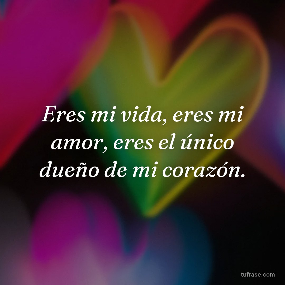 Eres mi vida, eres mi amor, eres el único dueño de mi corazón.